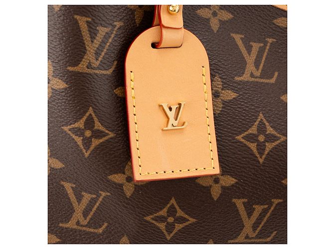 LOUIS VUITTON - Borsa tote CarryAll MM Louis Vuitton in tela monogram coated Marrone - vista 6