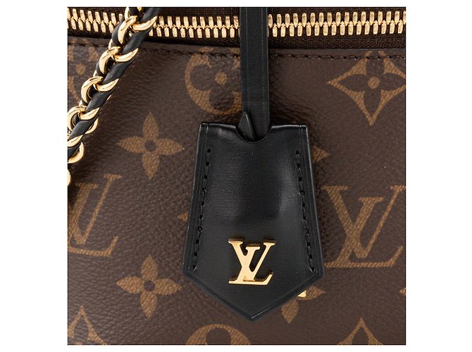 LOUIS VUITTON - Sac à bandoulière Vanity PM Louis Vuitton en toile enduite monogrammée reverse Marron - vue 5