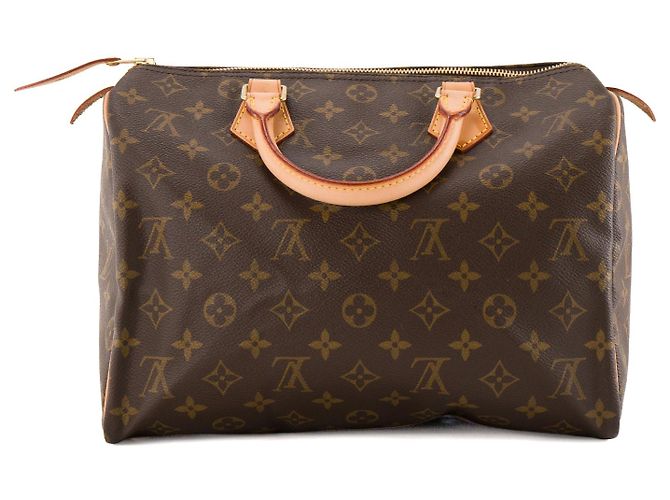 LOUIS VUITTON - Borsa a mano Louis Vuitton Speedy 30 in tela monogram coated e pelle marrone - vista 3