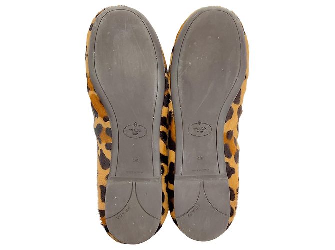 Sapatilhas Prada em pelo de vitelo com estampado de leopardo e ornamentos de cristal Marrom - vista 6