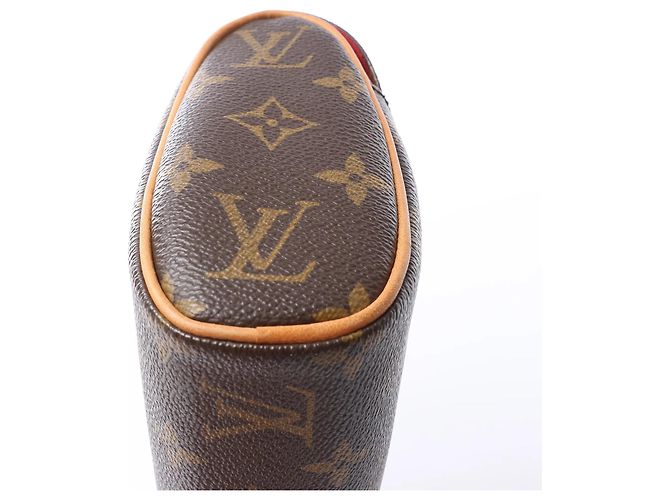 Slender Borsa a mano Louis Vuitton Sonatine Monogram Canvas in marrone M51902 Rosso - vista 9
