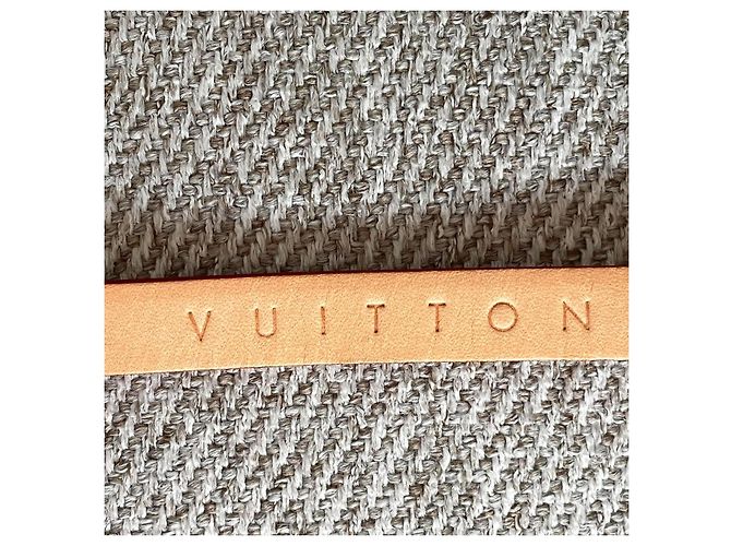 Louis Vuitton Cintura Pochette Florentine in pelle vachetta Beige - vista 6