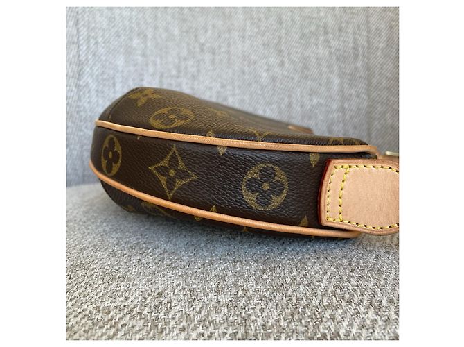 Louis Vuitton Pochette Croissant PM Monogram Marrone - vista 6