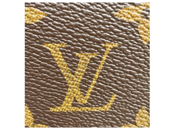 Pochette Félicie Louis Vuitton Félicie Monedero e Inserto Plano Castaño Fucsia - vista 8