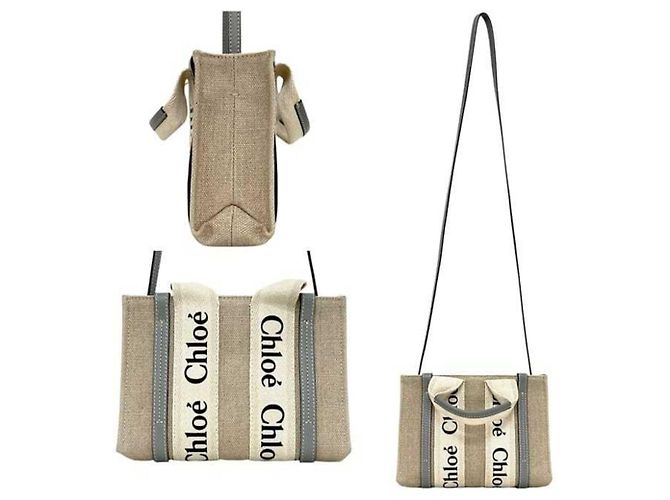 Chloé Chloe Woody Mini 2-way Shoulder Bag CHC22AP237 Beige Blu chiaro - vista 2