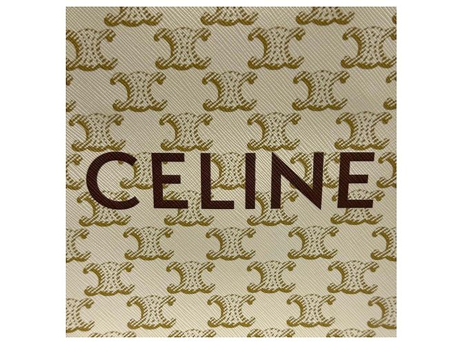 Céline Celine Triomphe Mini Vertical Cabas Schultertasche aus beschichtetem Canvas und Leder Braun Roh - Ansicht 10