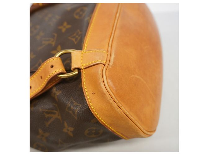 Mochila Louis Vuitton Monogram Montsouris MM Castaño - vista 6