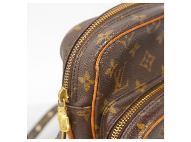 Sac à épaule Louis Vuitton Monogram Amazon Marron - vue 6