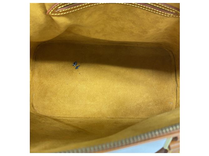Borsa Louis Vuitton Alma Epi D'oro - vista 4