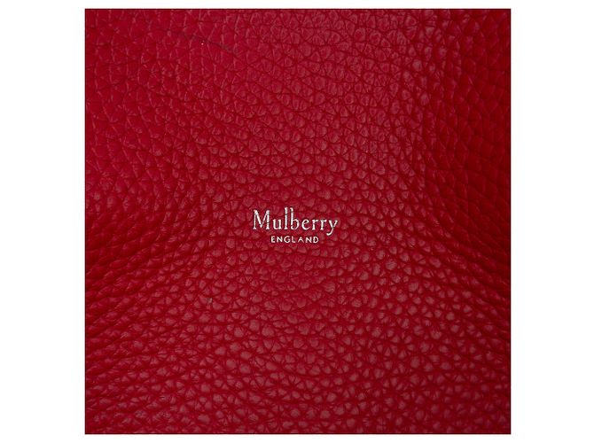 Mulberry Red Medium Grained Calfskin Iris Satchel Roja - vista 5