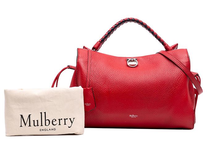 Mulberry Red Medium Grained Calfskin Iris Satchel Roja - vista 7
