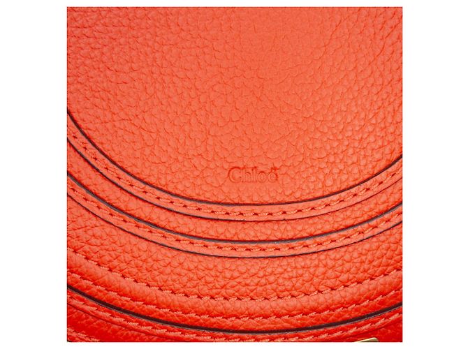 Chloé Beige Small Raffia Marcie Saddle Crossbody - vista 5