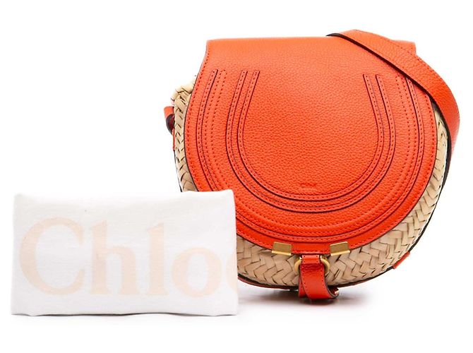 Chloé Beige Small Raffia Marcie Saddle Crossbody - vista 7