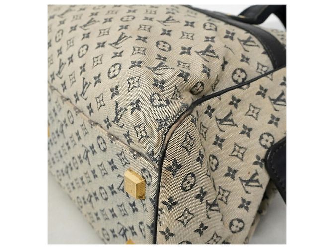 Bolso Louis Vuitton Monogram Mini Josephine GM Azul - vista 6