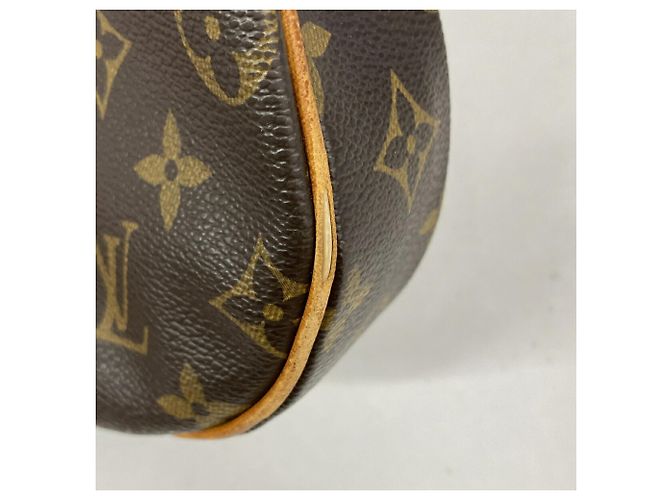Bolsa de Ombro Louis Vuitton Monogram Odeon PM Marrom - vista 6