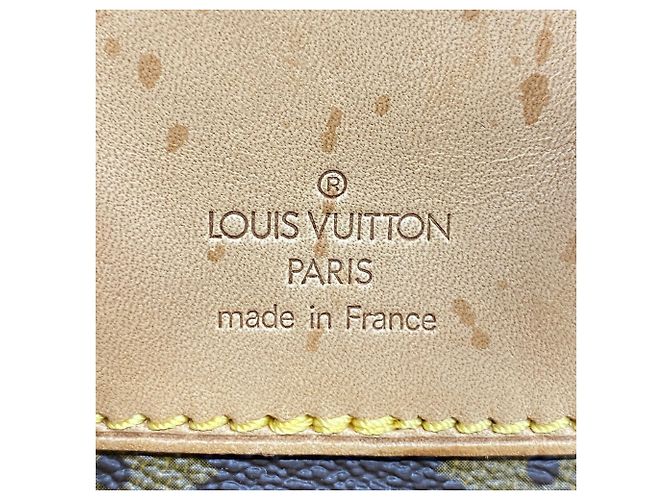 Mochila Louis Vuitton Monogram Montsouris MM Castaño - vista 5