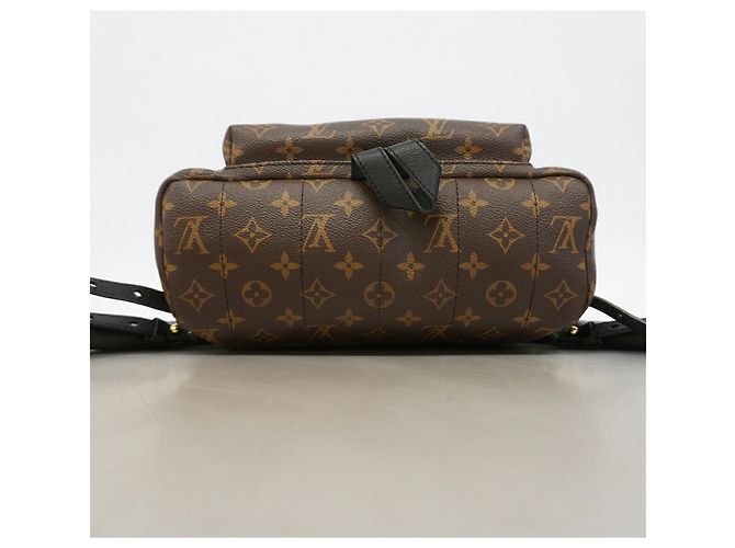Louis Vuitton Monogram Palm Springs Backpack MM Brown - view 3