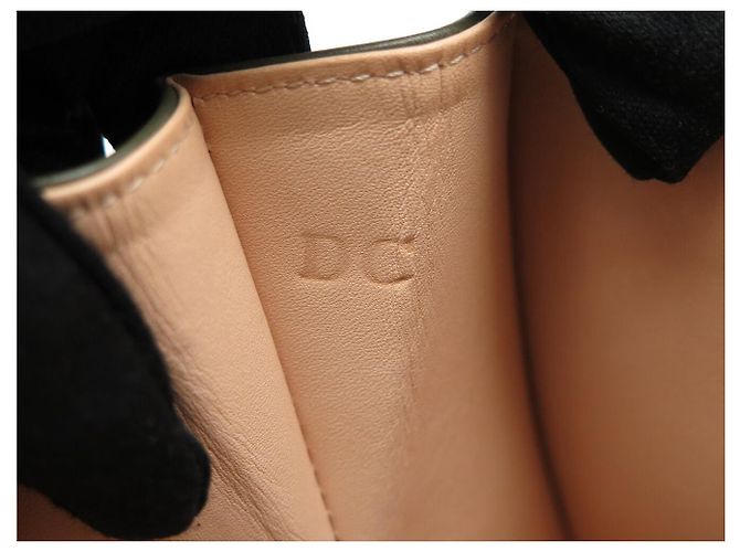 NUOVA BORSA A MANO DELVAUX BRILLANT MINI HIDE AND SEEK RICAMATA BORSA A TRACCOLLA Verde - vista 11