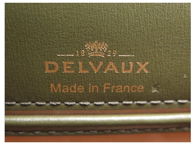 NUOVA BORSA A MANO DELVAUX BRILLANT MINI HIDE AND SEEK RICAMATA BORSA A TRACCOLLA Verde - vista 9