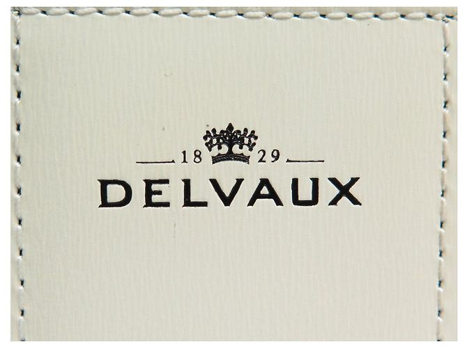 NUOVA BORSA A MANO DELVAUX BRILLANT MEDIA MM LIGHT AND SHADOW BORSA A TRACCOLLA - vista 8