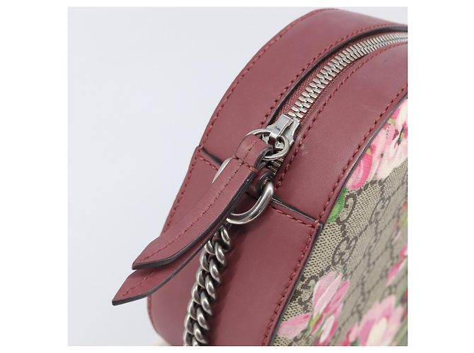 Borsa a tracolla GUCCI GG Blooms Chain PVC Pelle Beige Argento 409535 Auth BA15501V - vista 19