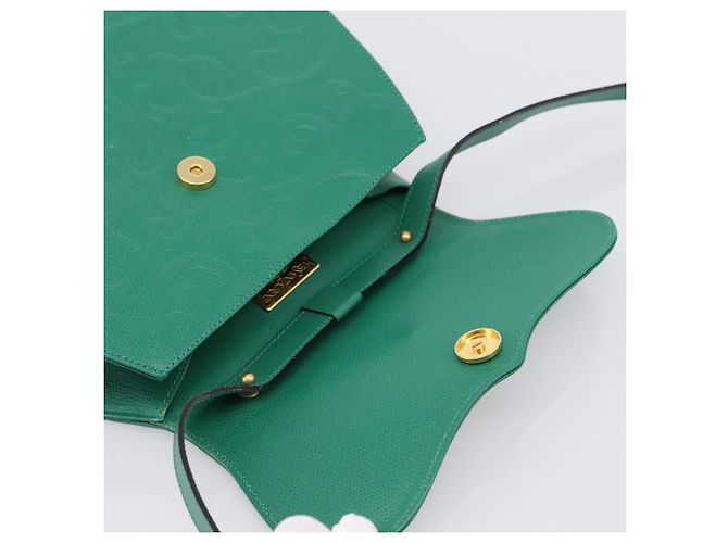 Autre Marque Borsa a tracolla SAINT LAURENT Pelle Verde Tono Oro Auth 202964 - vista 11