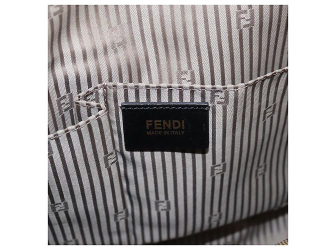 Borsa a mano FENDI Chameleon in pelle 2way Grigio Tono Oro 8BL110 Auth 198625A Marrone - vista 20