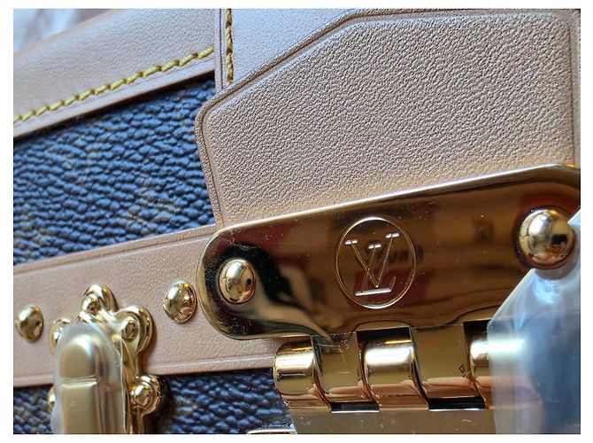 Louis Vuitton x Tasashi Murakami Petite Malle Monogram Marrone Multicolore - vista 11