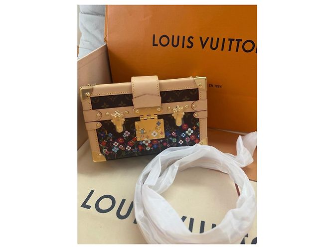 Louis Vuitton x Tasashi Murakami Petite Malle Monogram Marrone Multicolore - vista 2