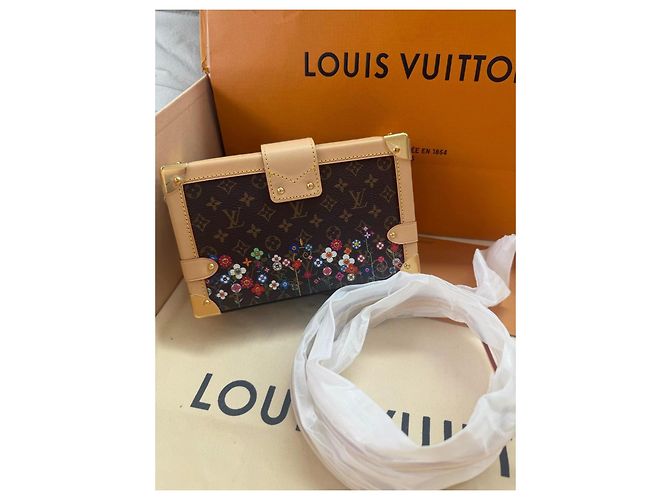 Louis Vuitton x Tasashi Murakami Petite Malle Monogram Marrone Multicolore - vista 3