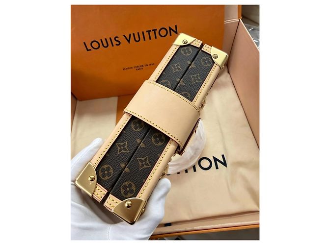 Louis Vuitton x Tasashi Murakami Petite Malle Monogram Marrone Multicolore - vista 4