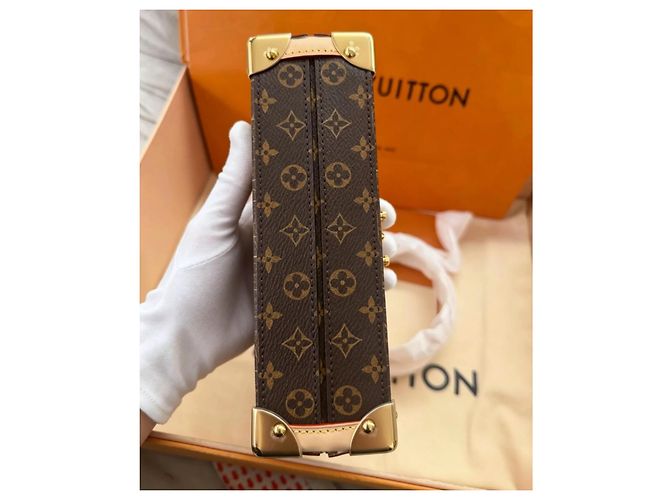 Louis Vuitton x Tasashi Murakami Petite Malle Monogram Marrone Multicolore - vista 5