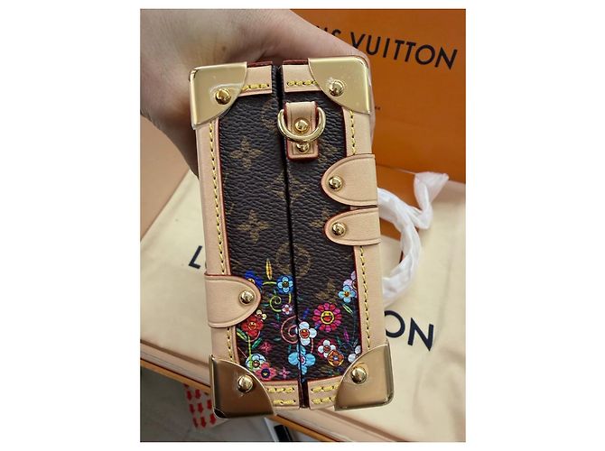 Louis Vuitton x Tasashi Murakami Petite Malle Monogram Marrone Multicolore - vista 6