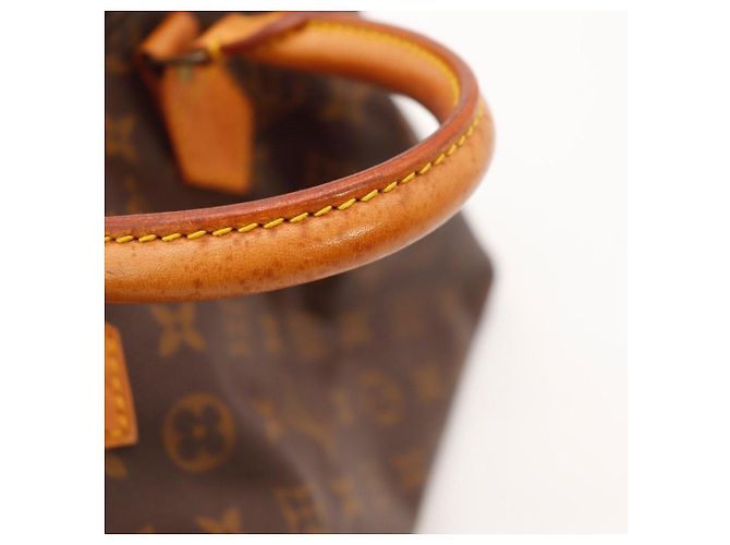 Louis Vuitton Speedy 30 Monogram Canvas Marrone - vista 12