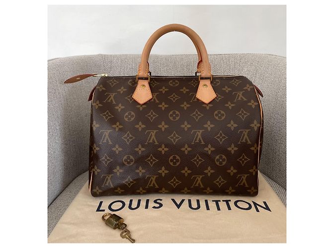 Louis Vuitton Speedy 30 Monogram Marrone - vista 2