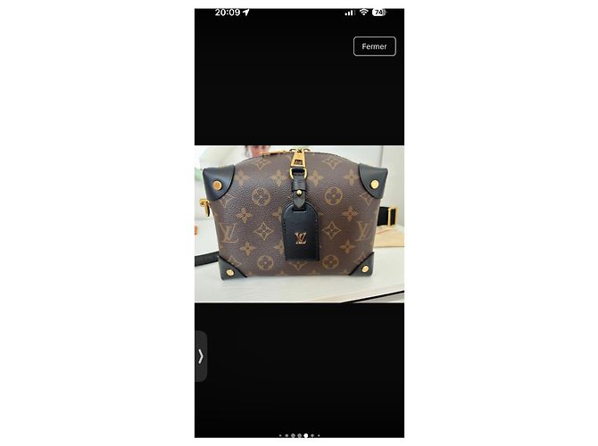 Petite Malle Louis Vuitton Monogram Soft Trunk kleine Schultertasche Braun Schwarz Gold hardware - Ansicht 11