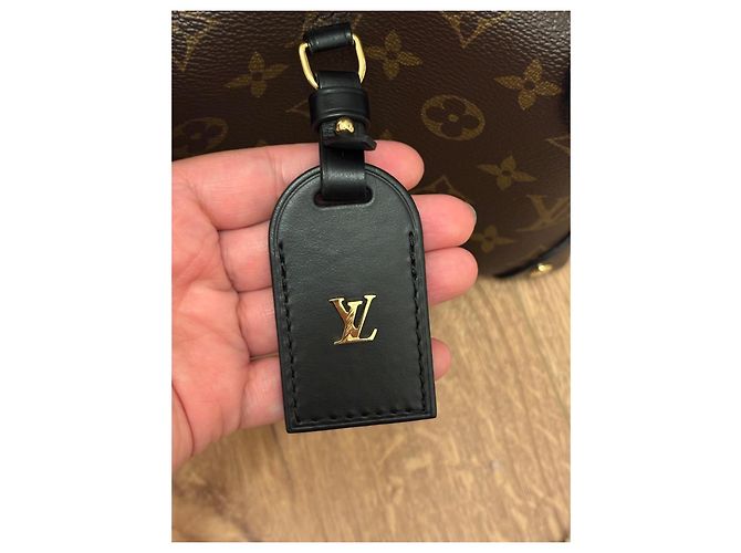 Petite Malle Louis Vuitton Monogram Soft Trunk kleine Schultertasche Braun Schwarz Gold hardware - Ansicht 23