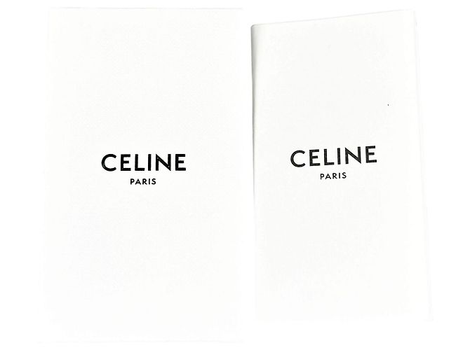 Triomphe Céline Beauty Case Celine Medium Marrone - vista 10