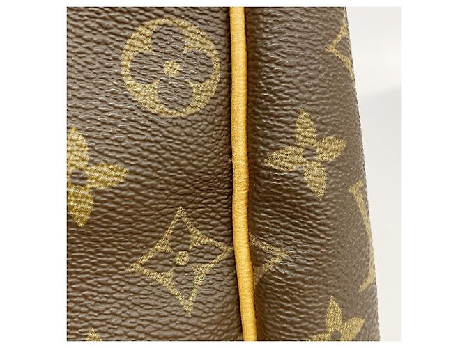 Louis Vuitton Boston Monogram Flanerie 50 Tasche Braun - Ansicht 14