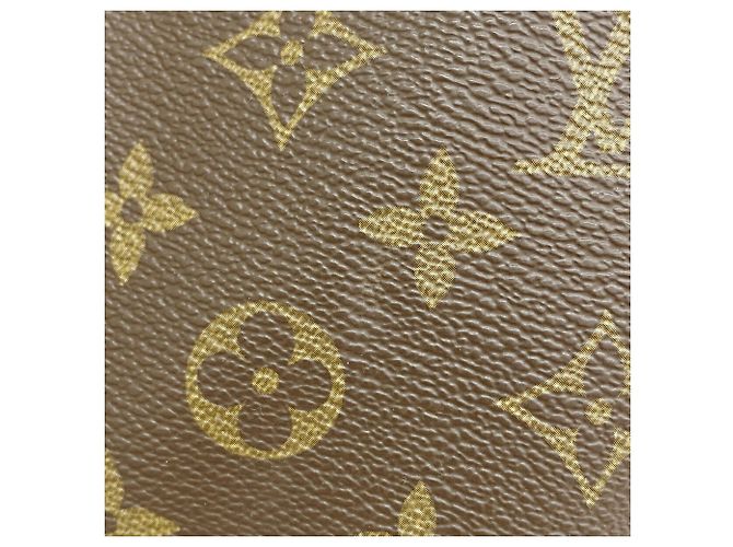 Louis Vuitton Boston Monogram Flanerie 50 Tasche Braun - Ansicht 17