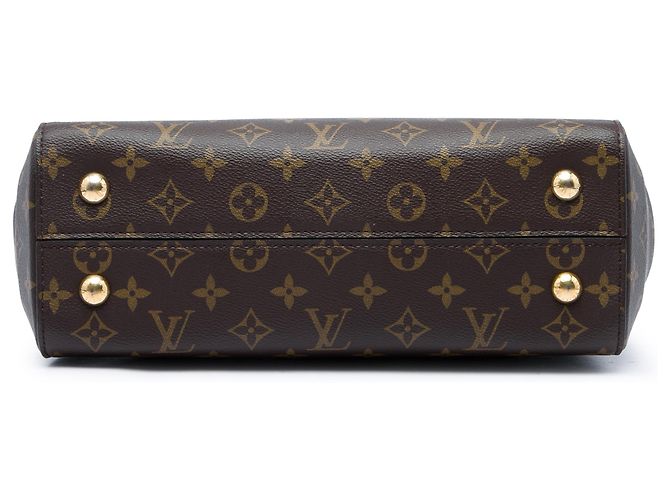 Louis Vuitton Brown Monogram Cluny MM Marrom - vista 3