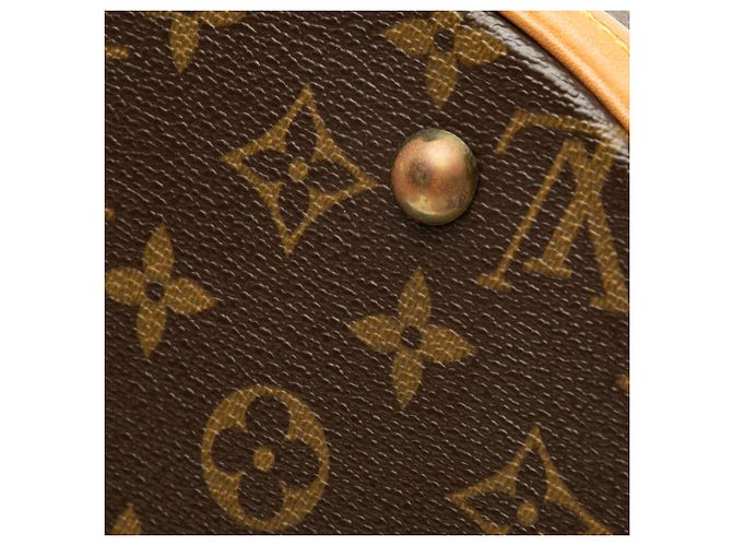 Louis Vuitton Brown Monogram Petit Bucket Marrom - vista 7