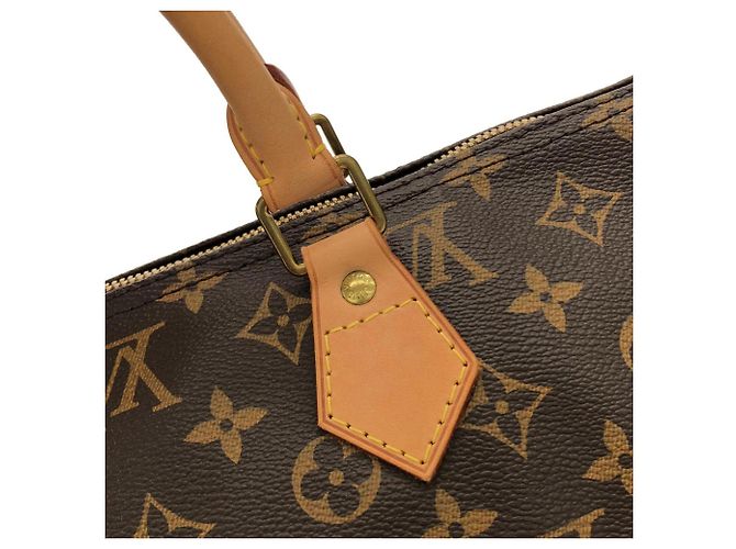 Borsa Boston Louis Vuitton Monogram Speedy Bandoulière Marrone - vista 6