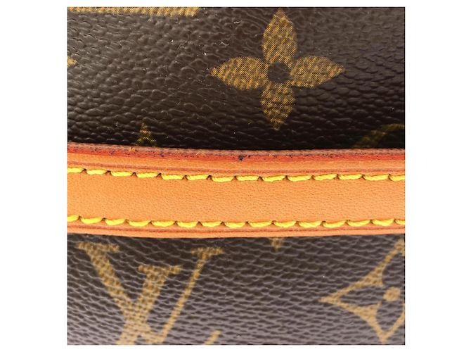 Bolsa de Ombro Louis Vuitton Monogram Danube Marrom - vista 6