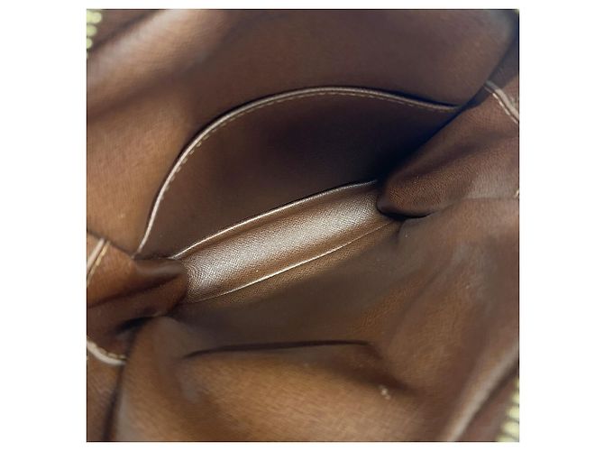 Bolso de hombro Louis Vuitton Monogram Amazon Castaño - vista 4