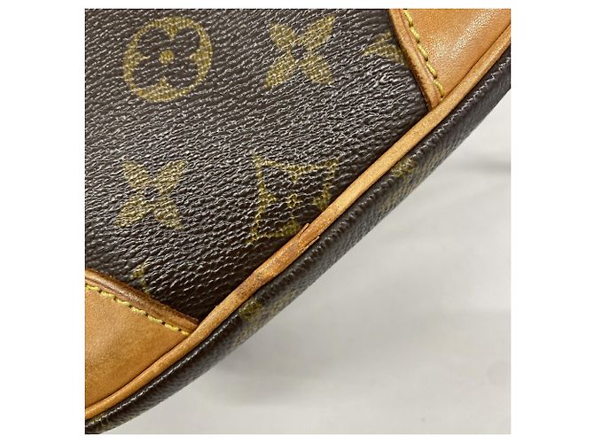 Bolso de hombro Louis Vuitton Monogram Amazon Castaño - vista 9
