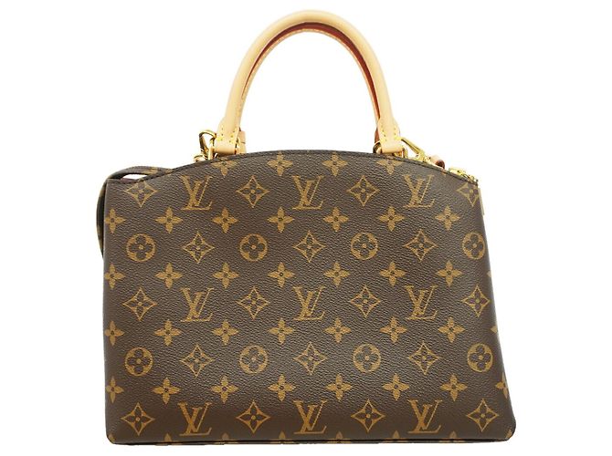 Bolsa Louis Vuitton Monogram Petit Palais PM Marrom - vista 12