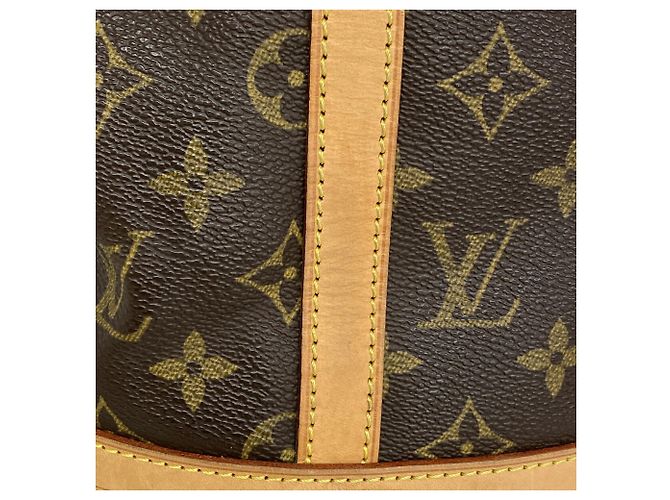 Bolso Tote Louis Vuitton Monogram Bucket GM Castaño - vista 9