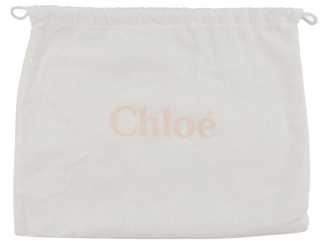 Borsa a mano Chloé Woody North South Mini Tote Rosa Beige - vista 13