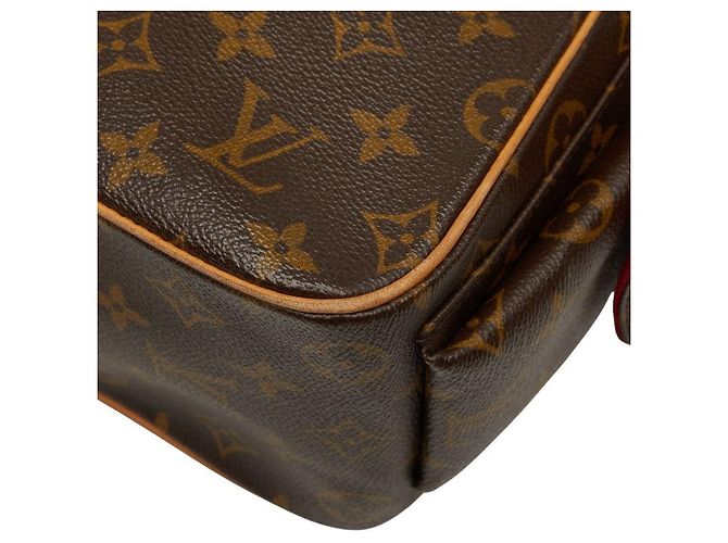 Bolso Louis Vuitton Monogram Exantry Cite Castaño - vista 6